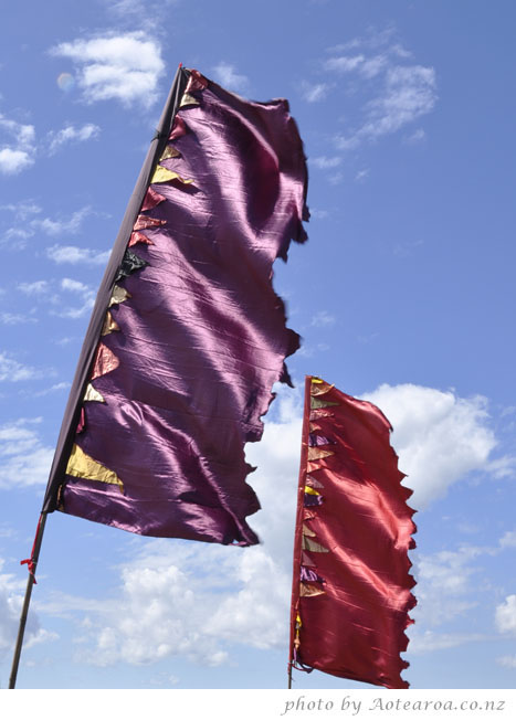 funky flags at the Devonport food and wine festival