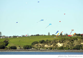 Kites at Bastion Point. Photo taken from Devonport waterfront