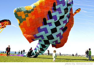 Kites, huge kites at Bastion Point