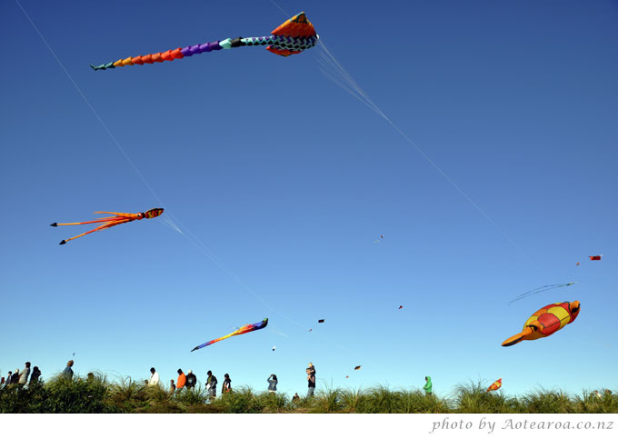 Kites, lots of kites